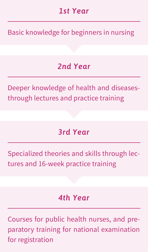 Four-year Curriculum (Department of Nursing)