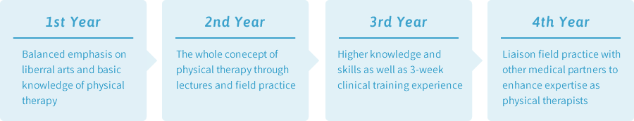 Four-year Curriculum (Department of Physical Therapy)