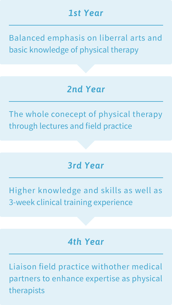 Four-year Curriculum (Department of Physical Therapy)