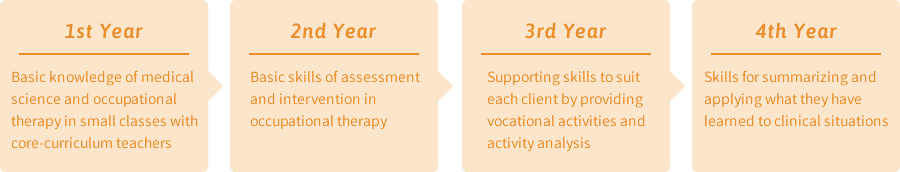 Four-year Curriculum (Department of Occupational Therapy)