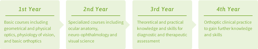 Four-year Curriculum (Four-year Curriculum)