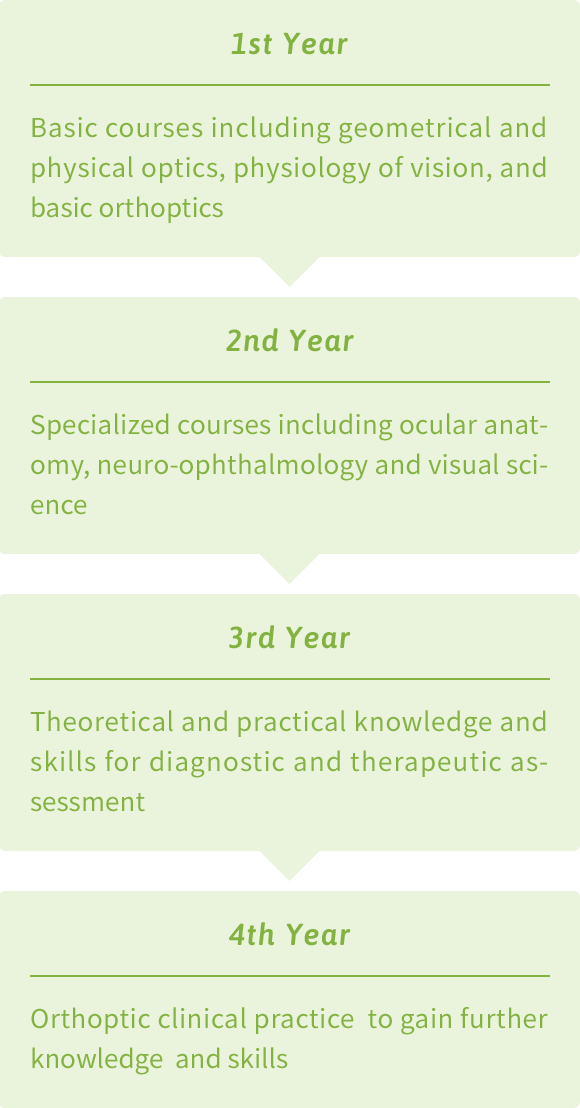 Four-year Curriculum (Four-year Curriculum)