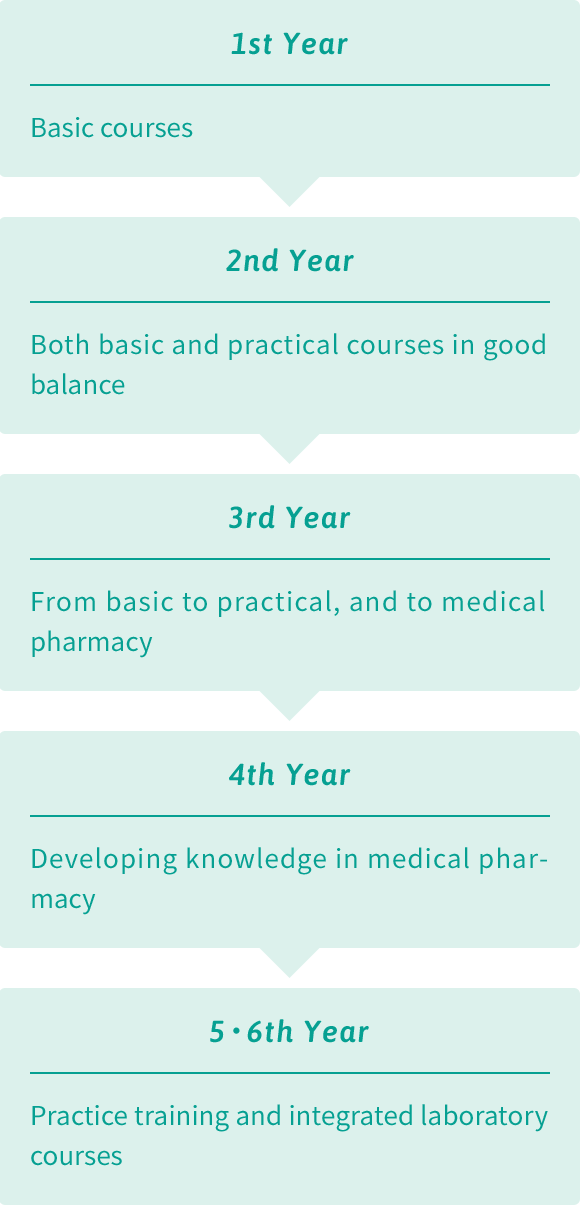 Four-year Curriculum (Department of Pharmaceutical Sciences)