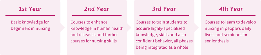 Four-year Curriculum (Department of Nursing)