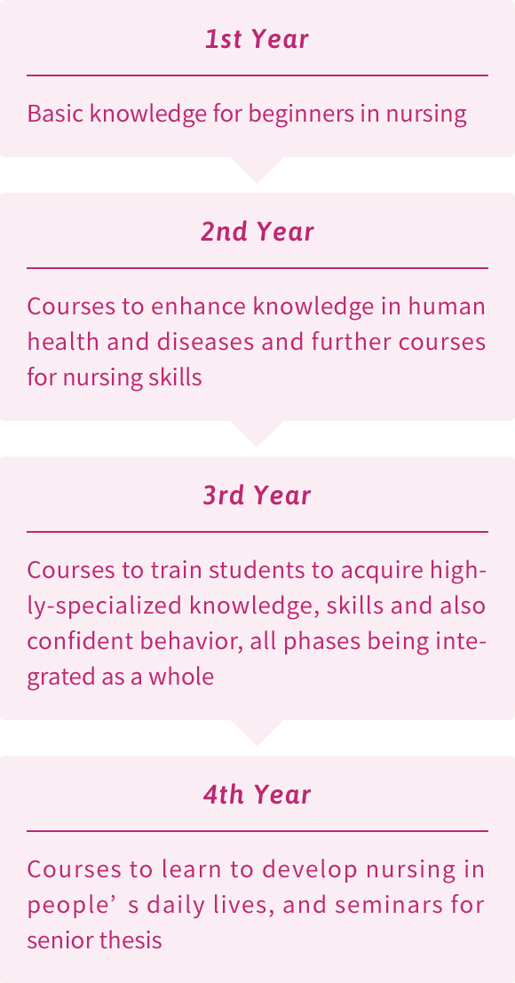 Four-year Curriculum (Department of Nursing)
