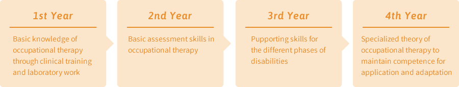 Four-year Curriculum (Department of Occupational Therapy)