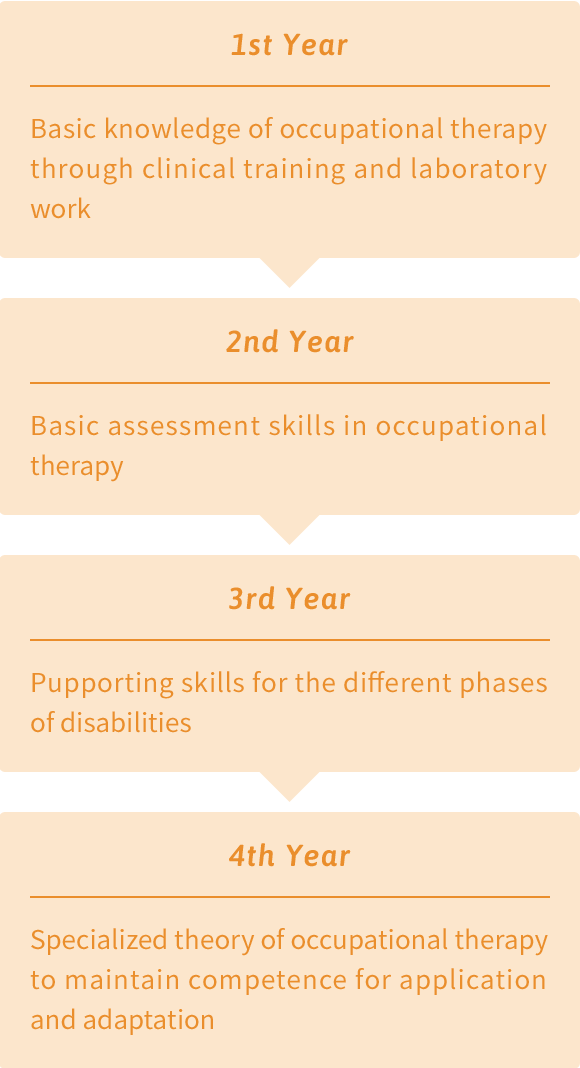 Four-year Curriculum (Department of Occupational Therapy)