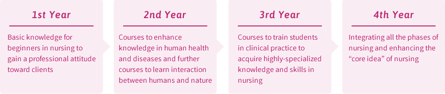 Four-year Curriculum (Department of Nursing)