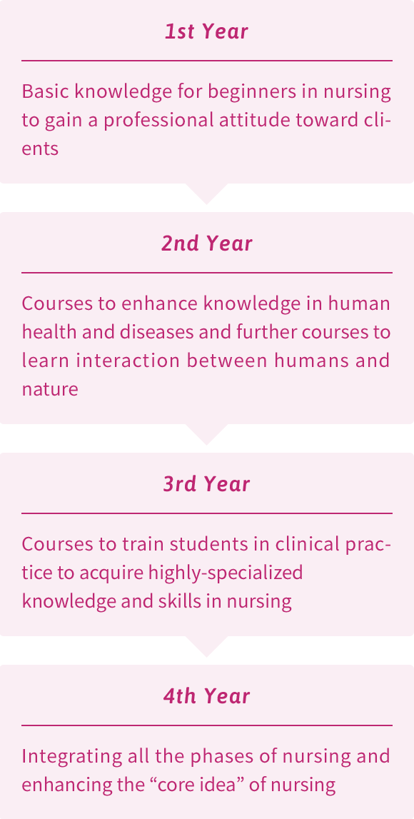 Four-year Curriculum (Department of Nursing)