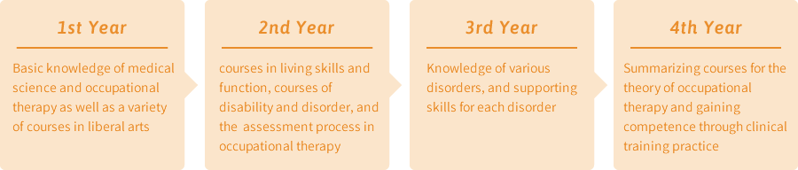 Four-year Curriculum (Department of Physical Therapy)