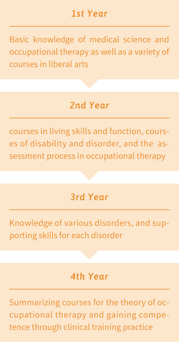 Four-year Curriculum (Department of Physical Therapy)