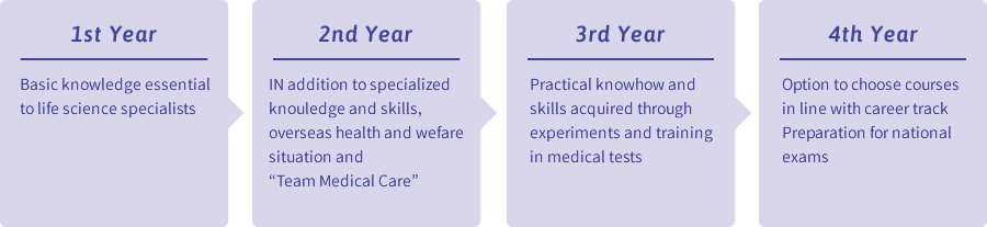 Four-year Curriculum (Department of Medical Technology and Sciences)