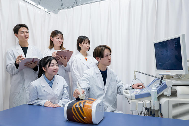 超音波診断装置の画像