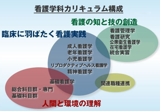 看護学科カリキュラム構成